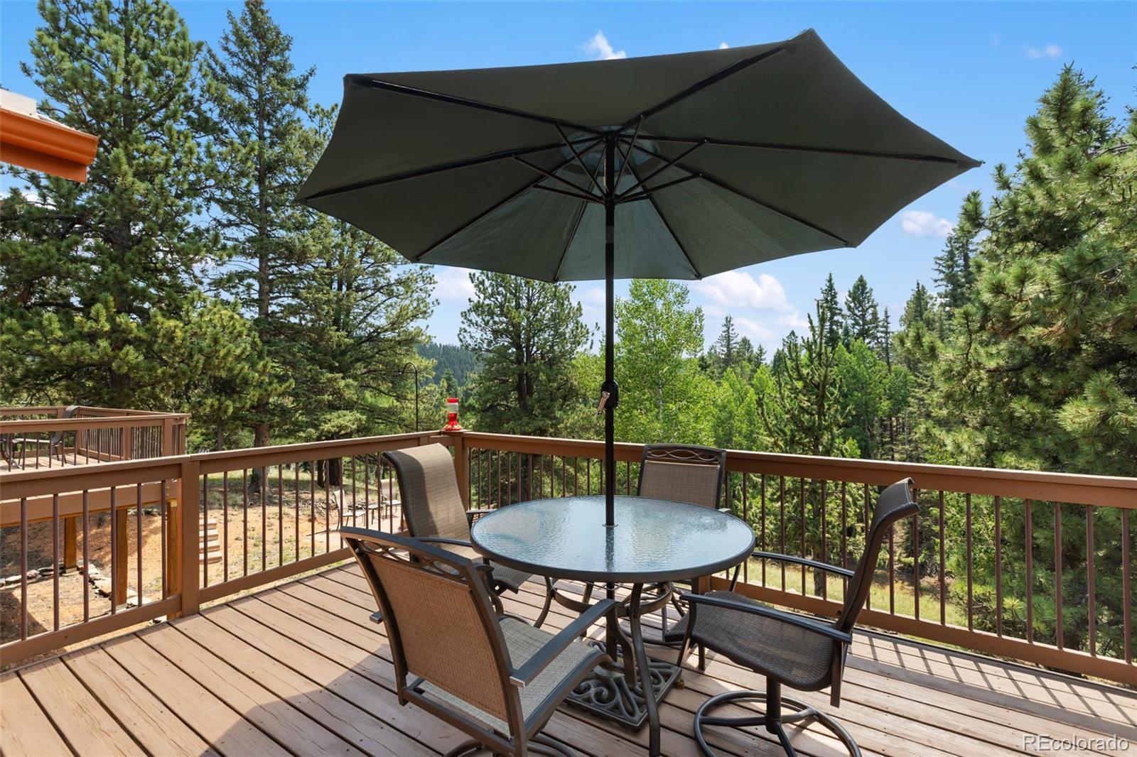 MLS Image #16 for 94  pinewood circle,divide, Colorado