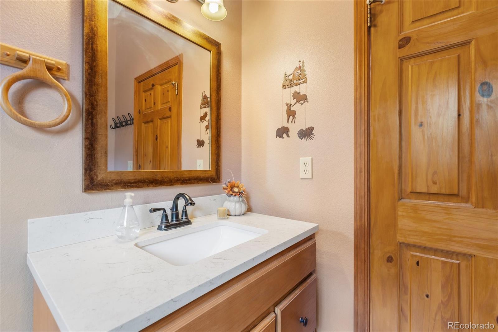 MLS Image #17 for 94  pinewood circle,divide, Colorado