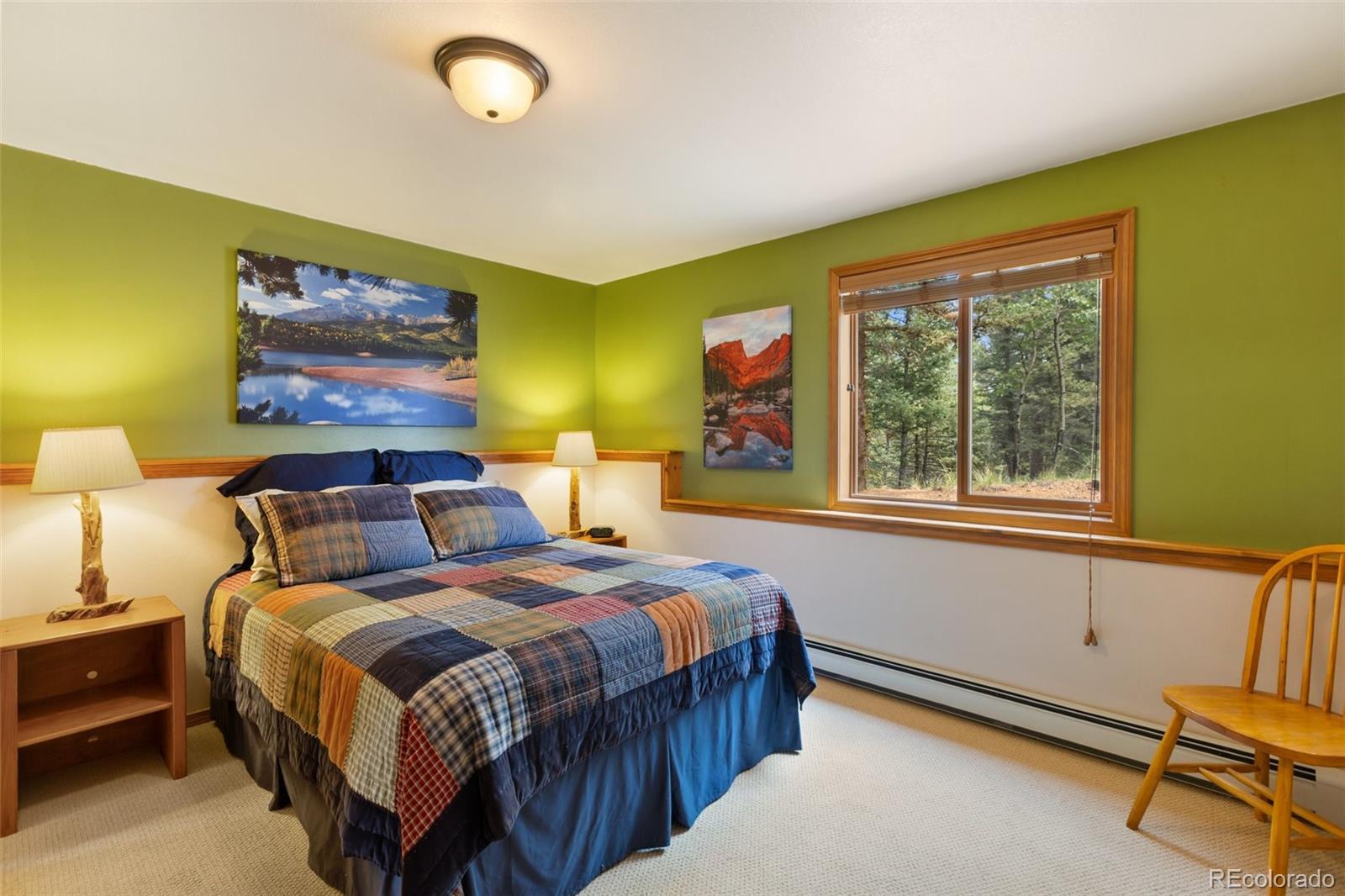 MLS Image #29 for 94  pinewood circle,divide, Colorado