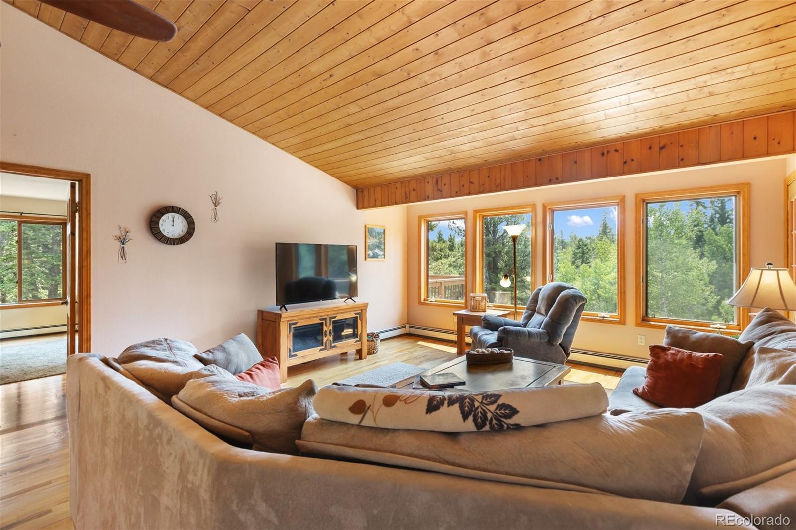 MLS Image #4 for 94  pinewood circle,divide, Colorado