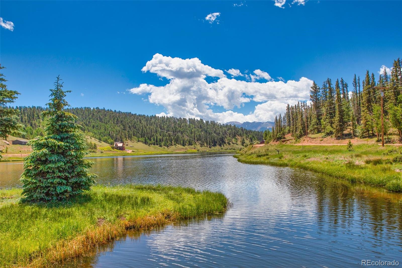 MLS Image #41 for 94  pinewood circle,divide, Colorado