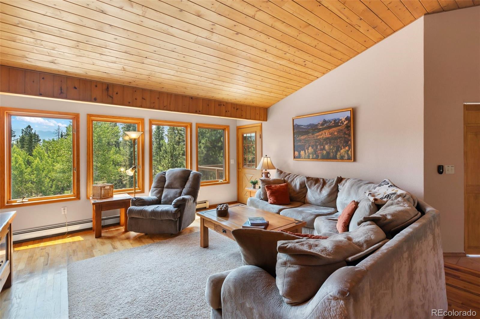 MLS Image #5 for 94  pinewood circle,divide, Colorado