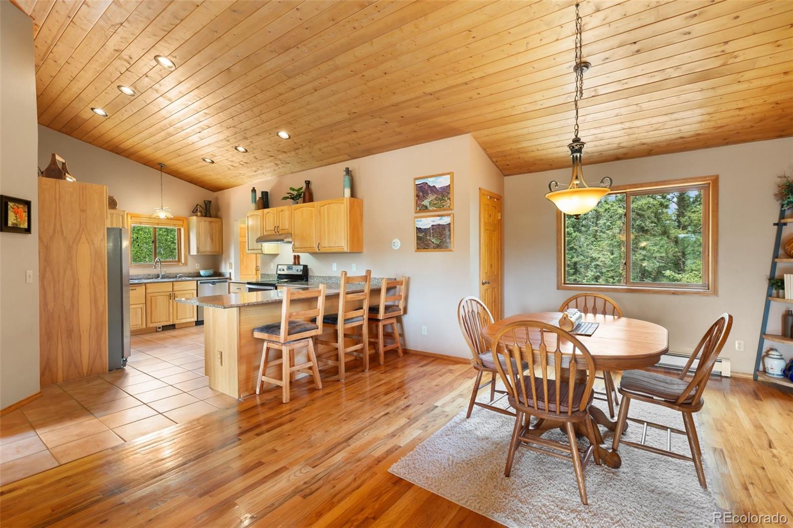 MLS Image #7 for 94  pinewood circle,divide, Colorado