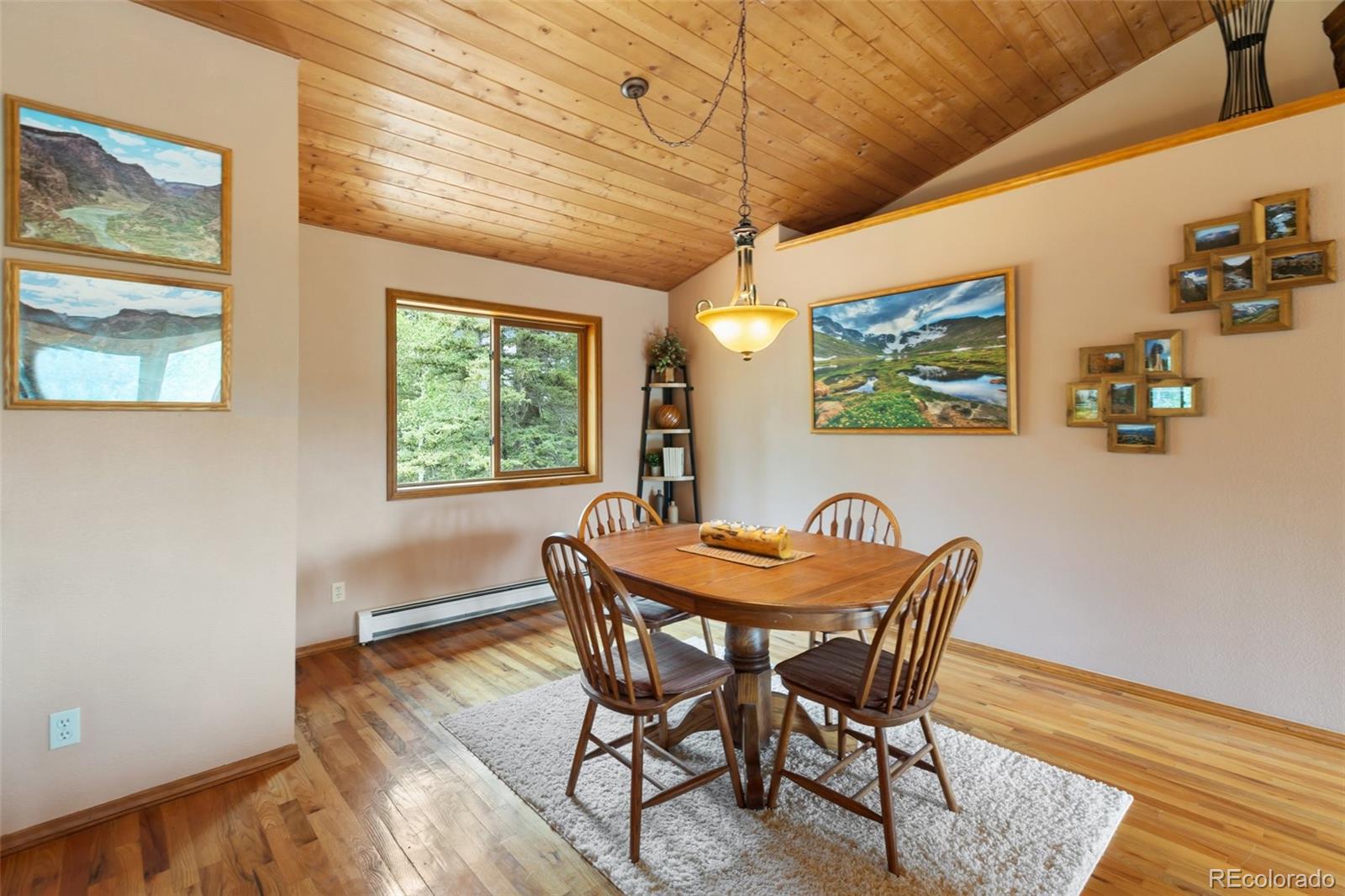 MLS Image #8 for 94  pinewood circle,divide, Colorado