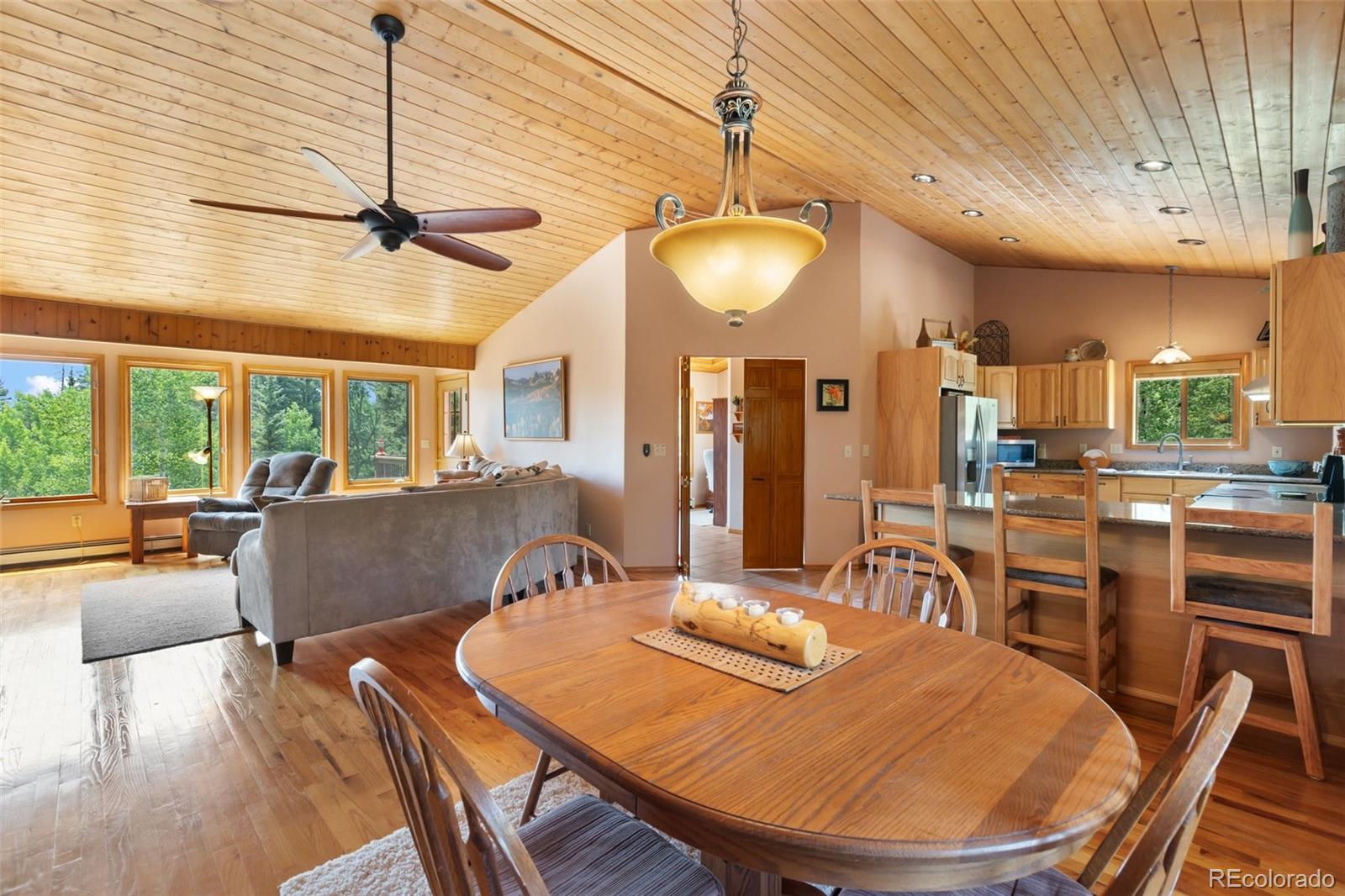 MLS Image #9 for 94  pinewood circle,divide, Colorado