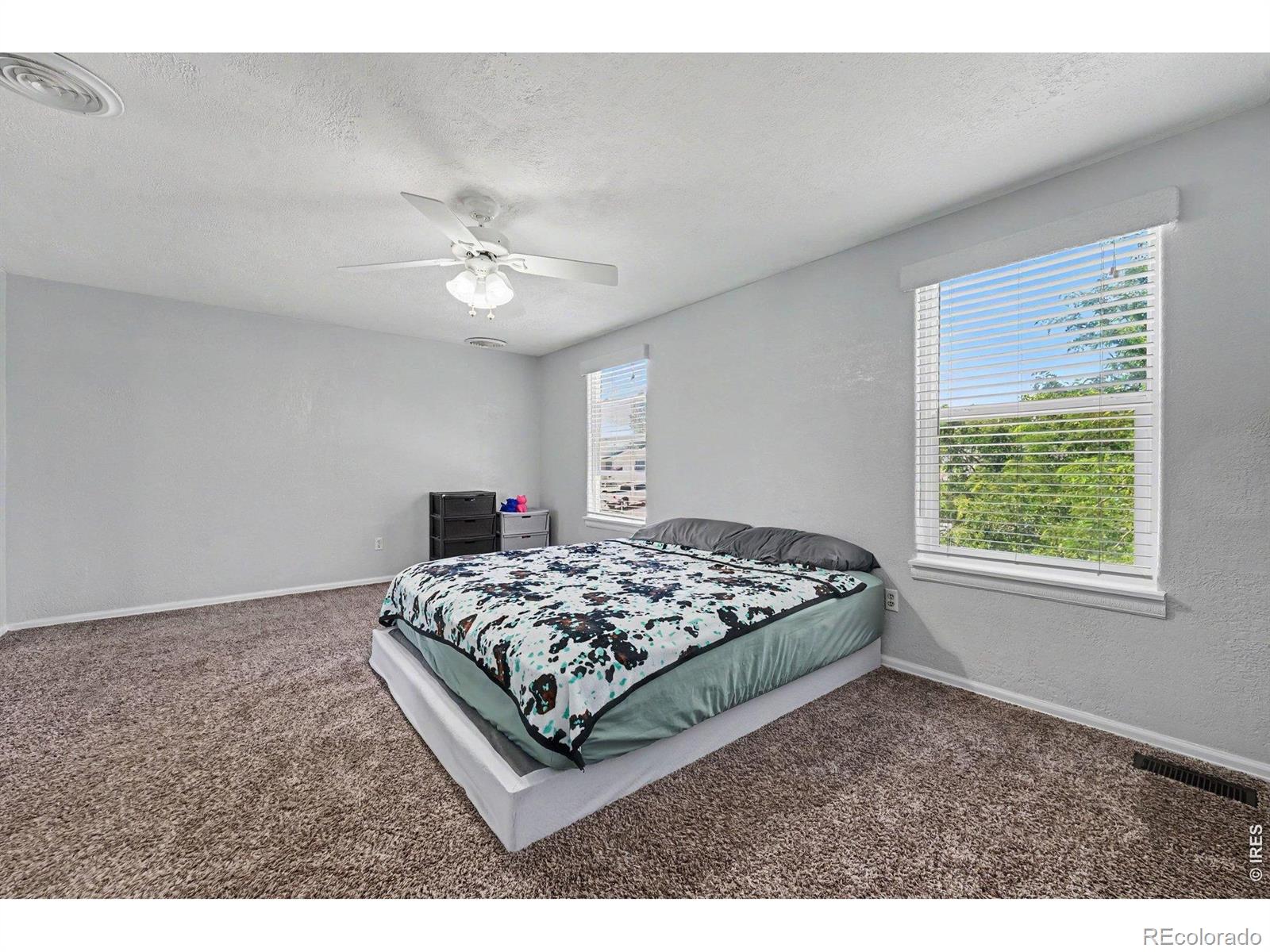MLS Image #10 for 216  jefferson drive,bennett, Colorado