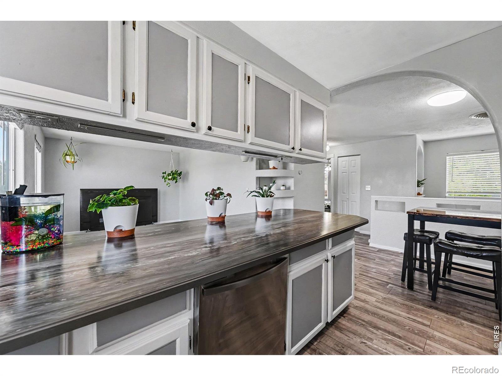 MLS Image #2 for 216  jefferson drive,bennett, Colorado