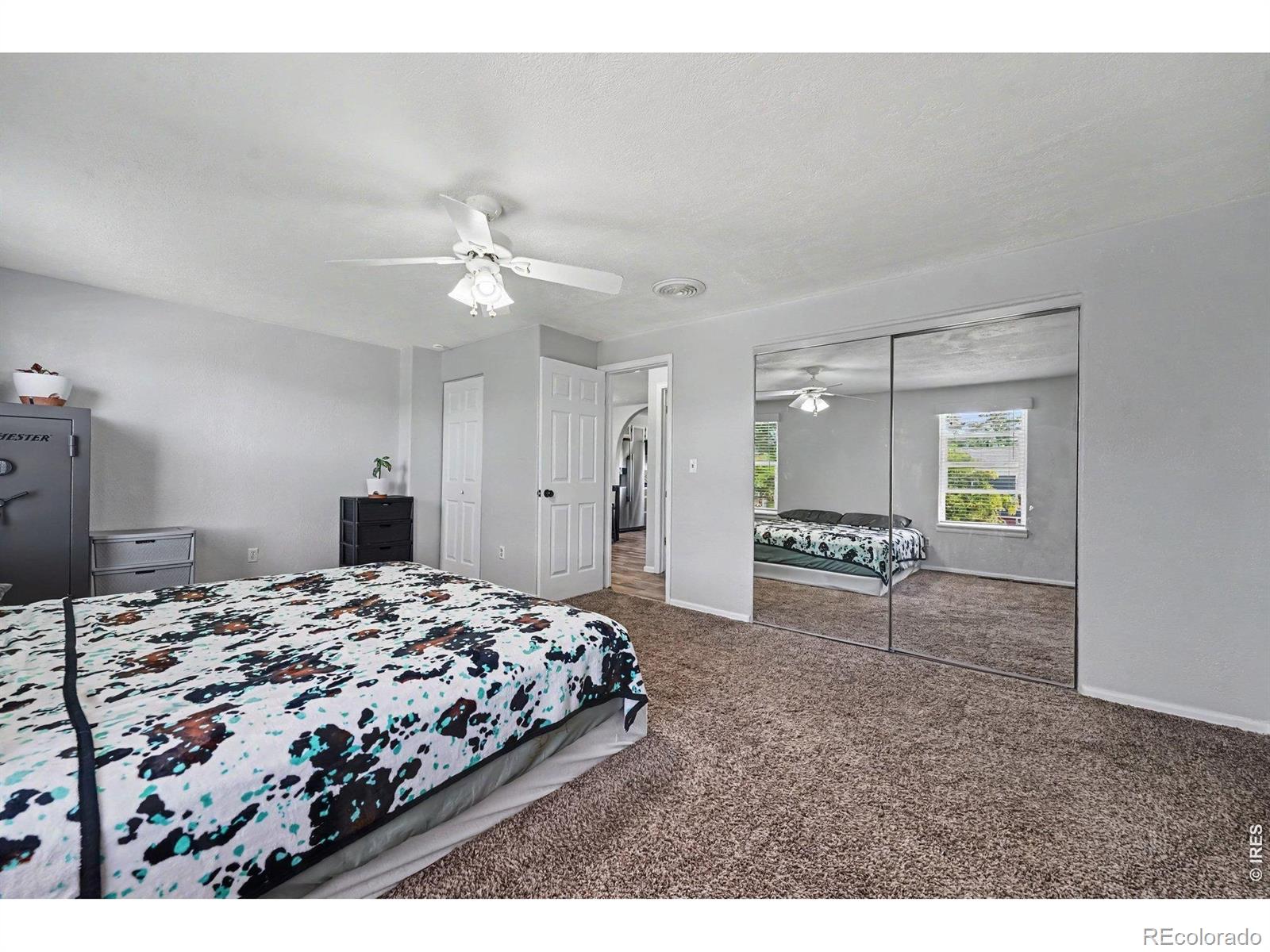 MLS Image #9 for 216  jefferson drive,bennett, Colorado