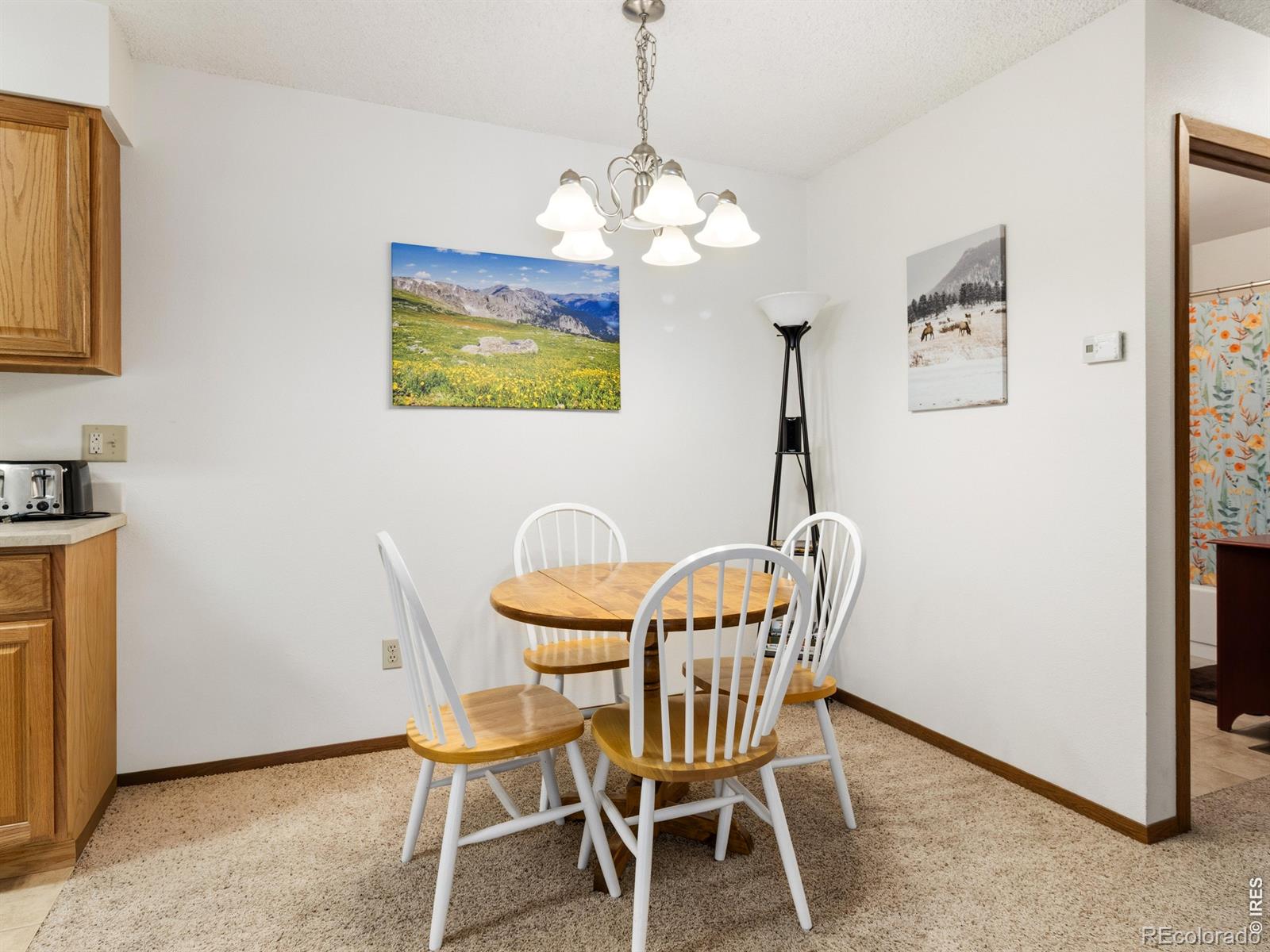 MLS Image #15 for 1155 s saint vrain avenue,estes park, Colorado