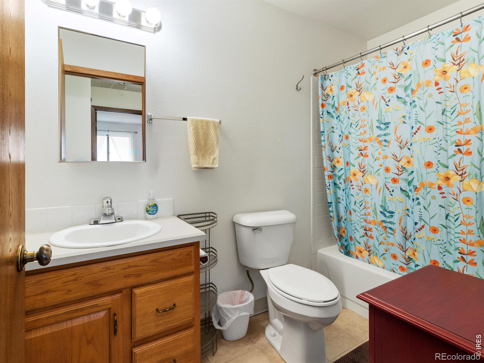 MLS Image #8 for 1155 s saint vrain avenue,estes park, Colorado