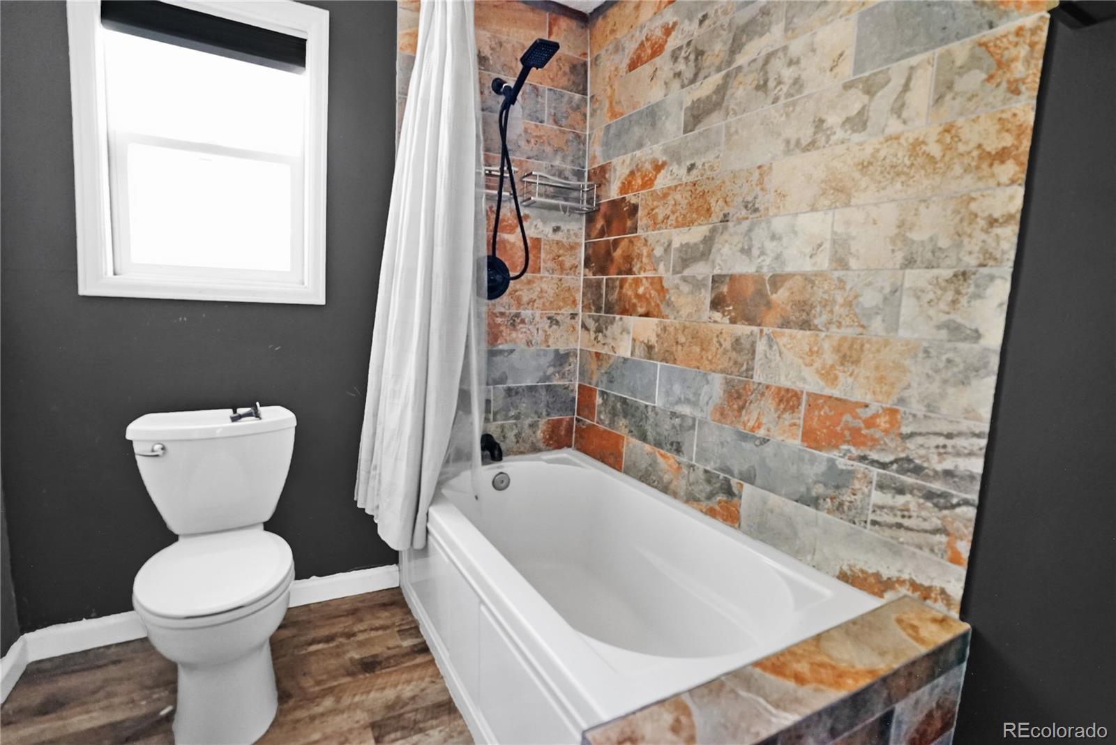 MLS Image #13 for 277  houston street,bailey, Colorado