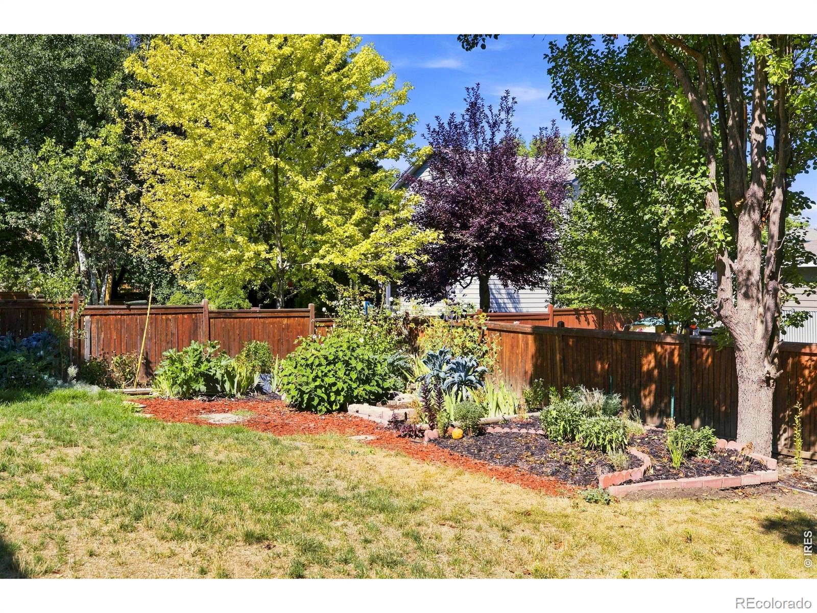 MLS Image #25 for 2441  5th street,loveland, Colorado