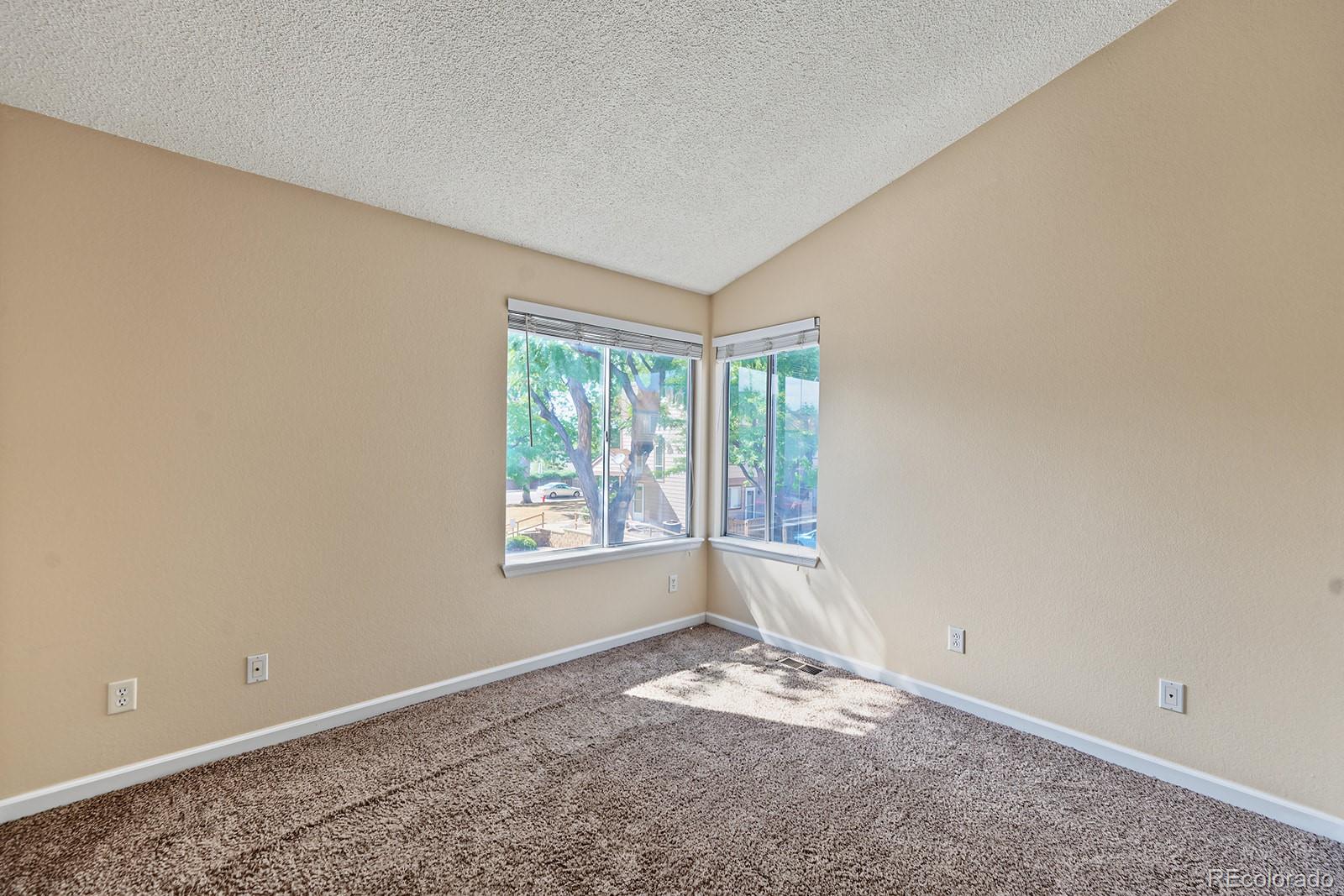 MLS Image #20 for 822  summer drive,highlands ranch, Colorado