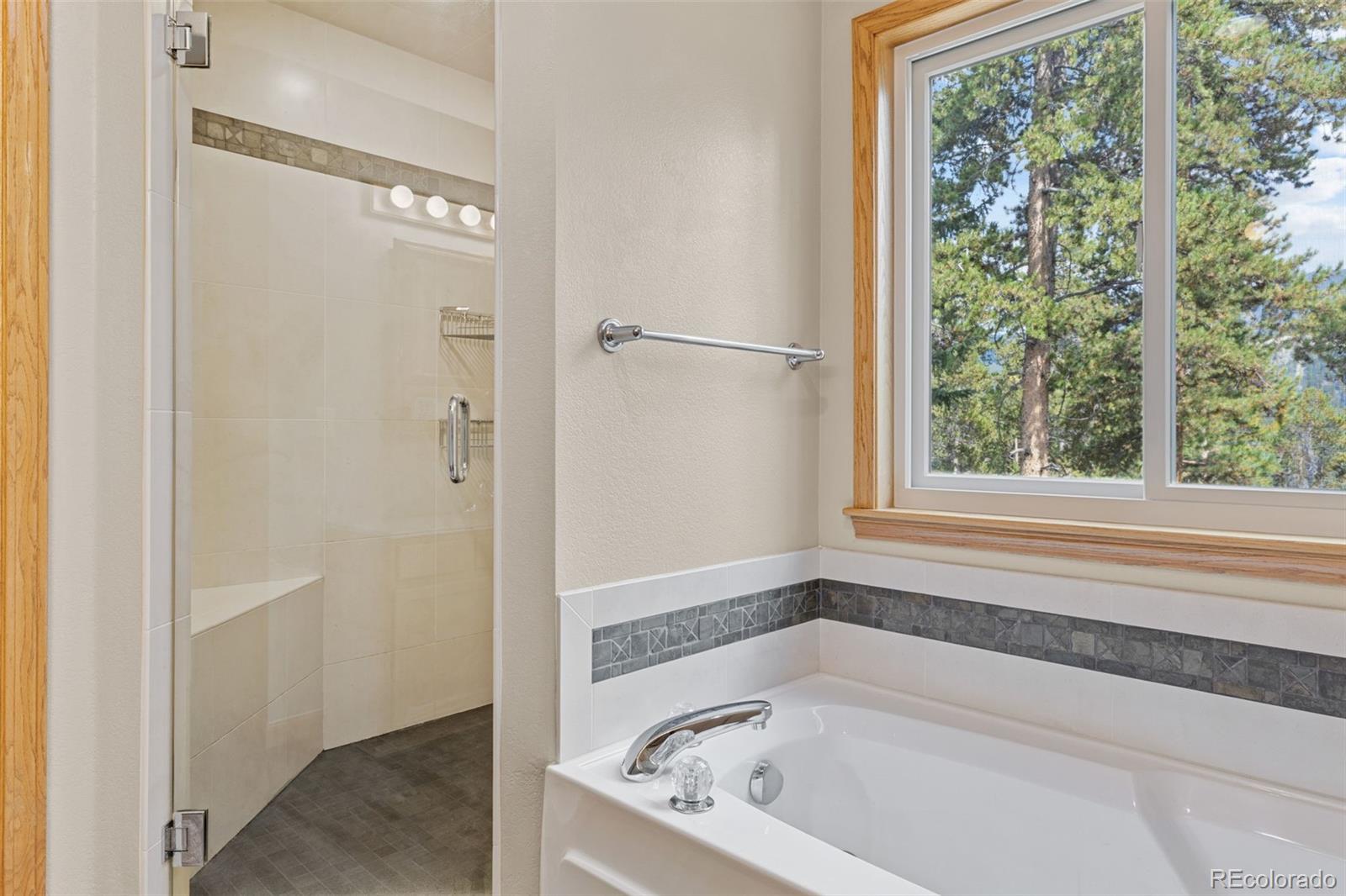 MLS Image #18 for 387  gold king way,breckenridge, Colorado