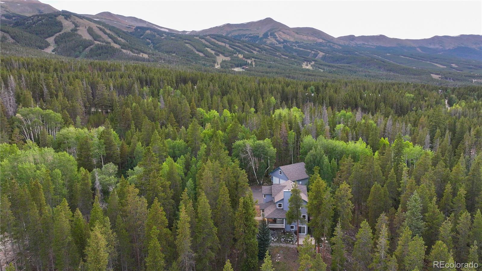 MLS Image #3 for 387  gold king way,breckenridge, Colorado