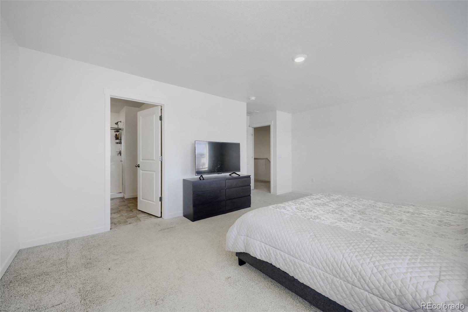 MLS Image #16 for 761 n amory street,watkins, Colorado