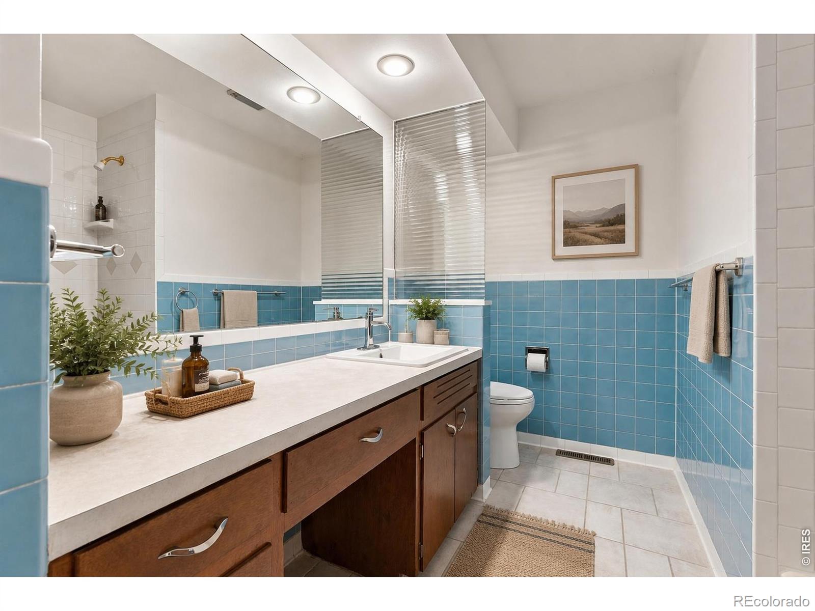 MLS Image #25 for 825 e pitkin street,fort collins, Colorado