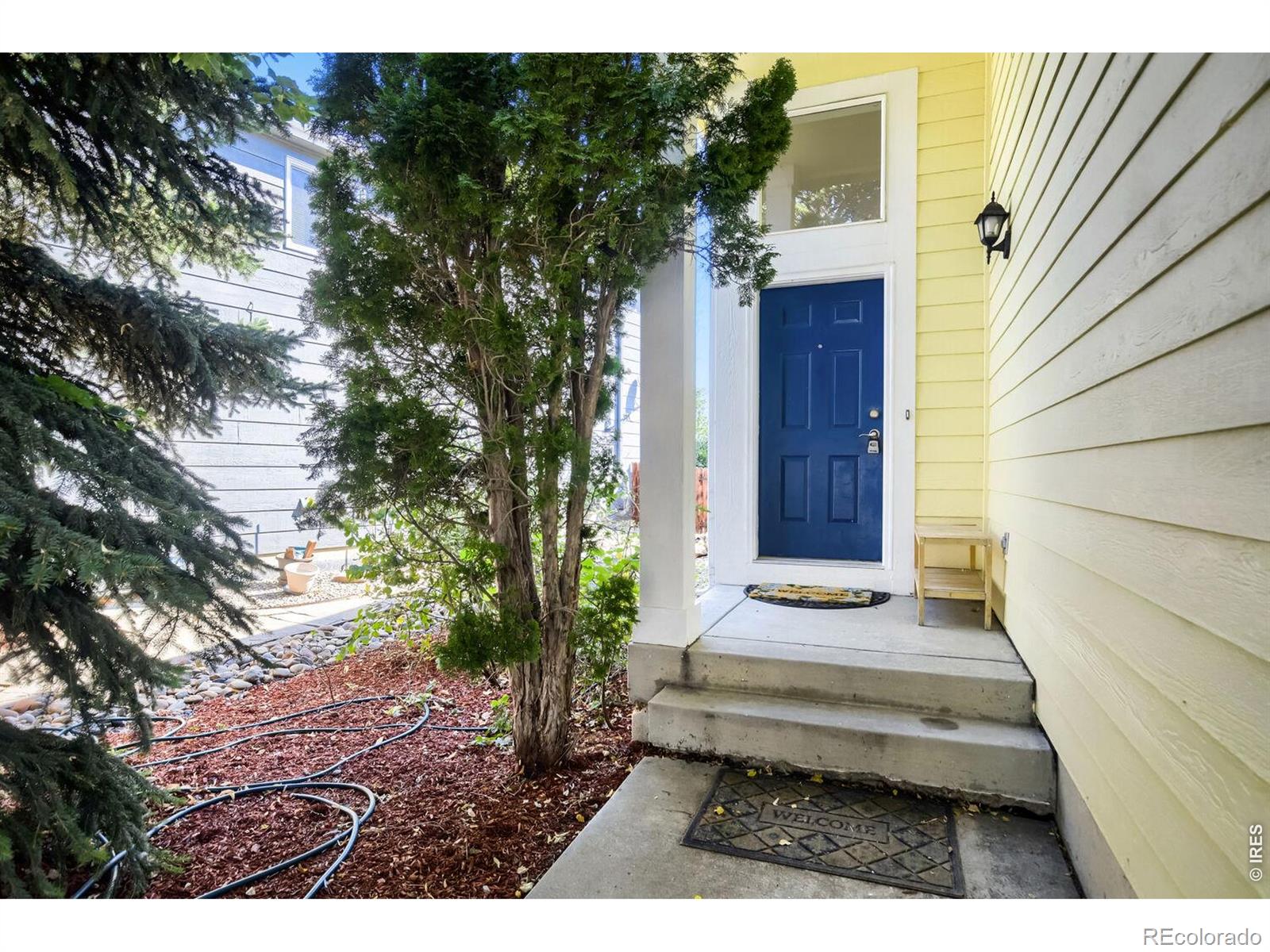 MLS Image #1 for 3451  larkspur drive,longmont, Colorado