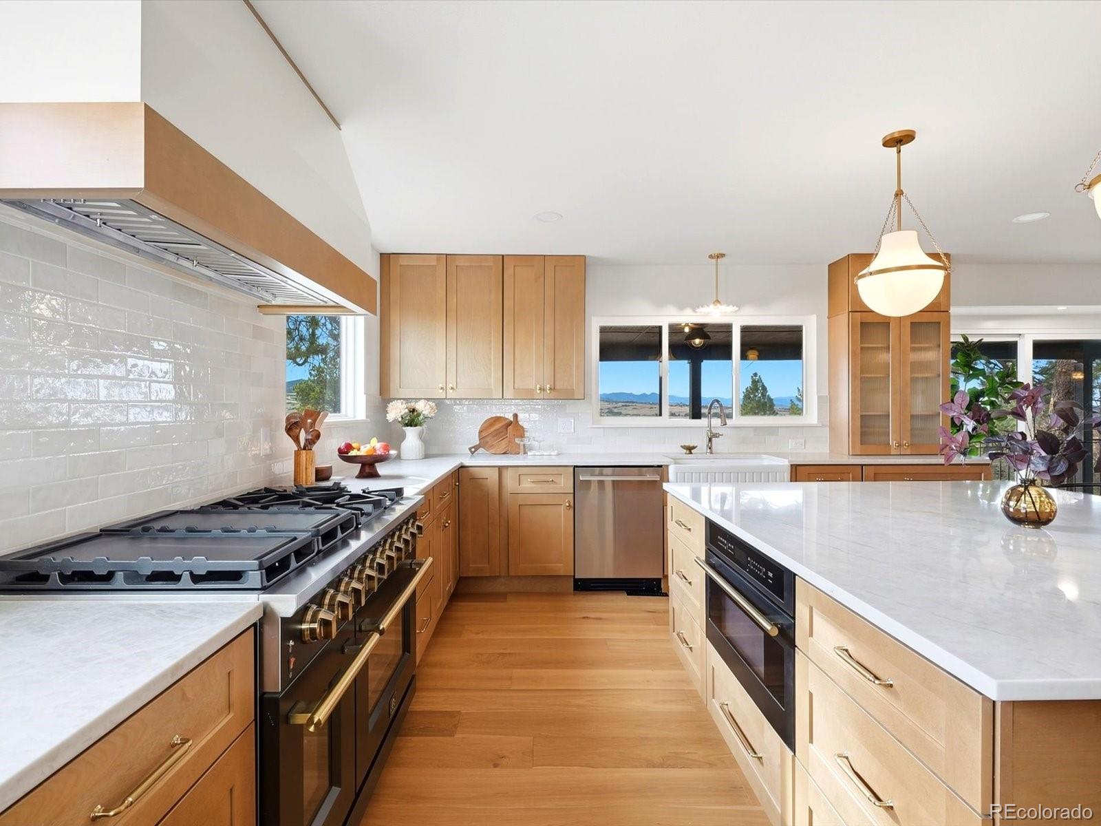 MLS Image #3 for 1482 n perry park road,sedalia, Colorado