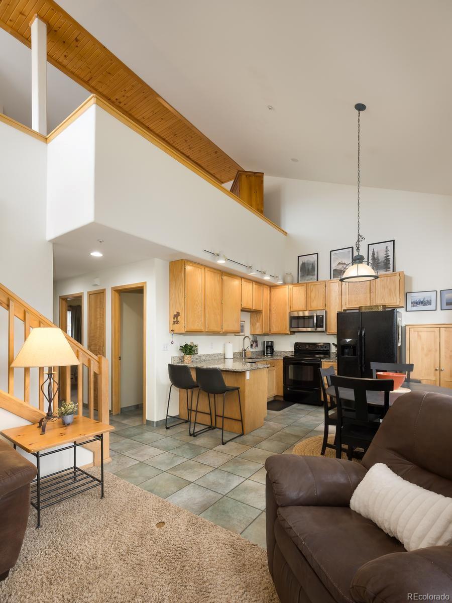 MLS Image #11 for 10000  ryan gulch road,silverthorne, Colorado