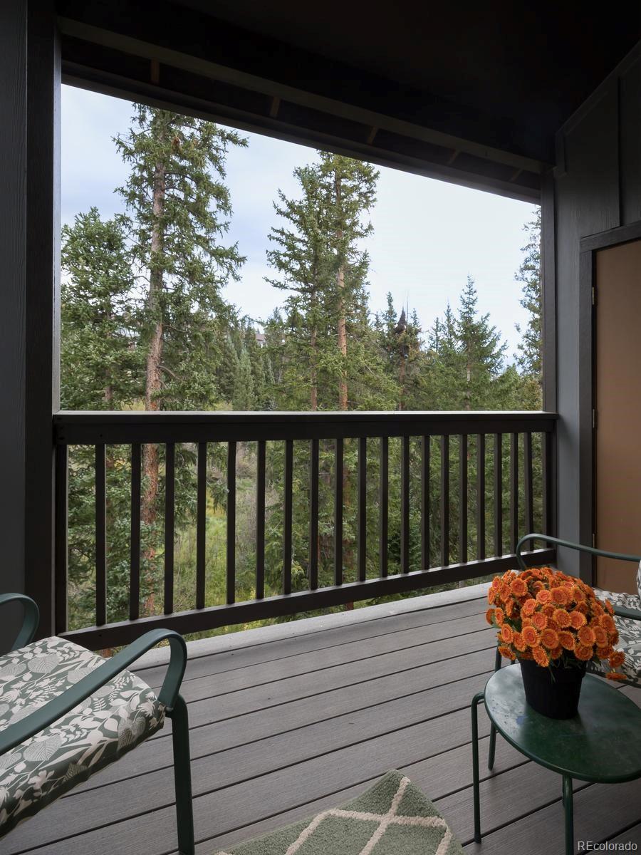MLS Image #17 for 10000  ryan gulch road,silverthorne, Colorado