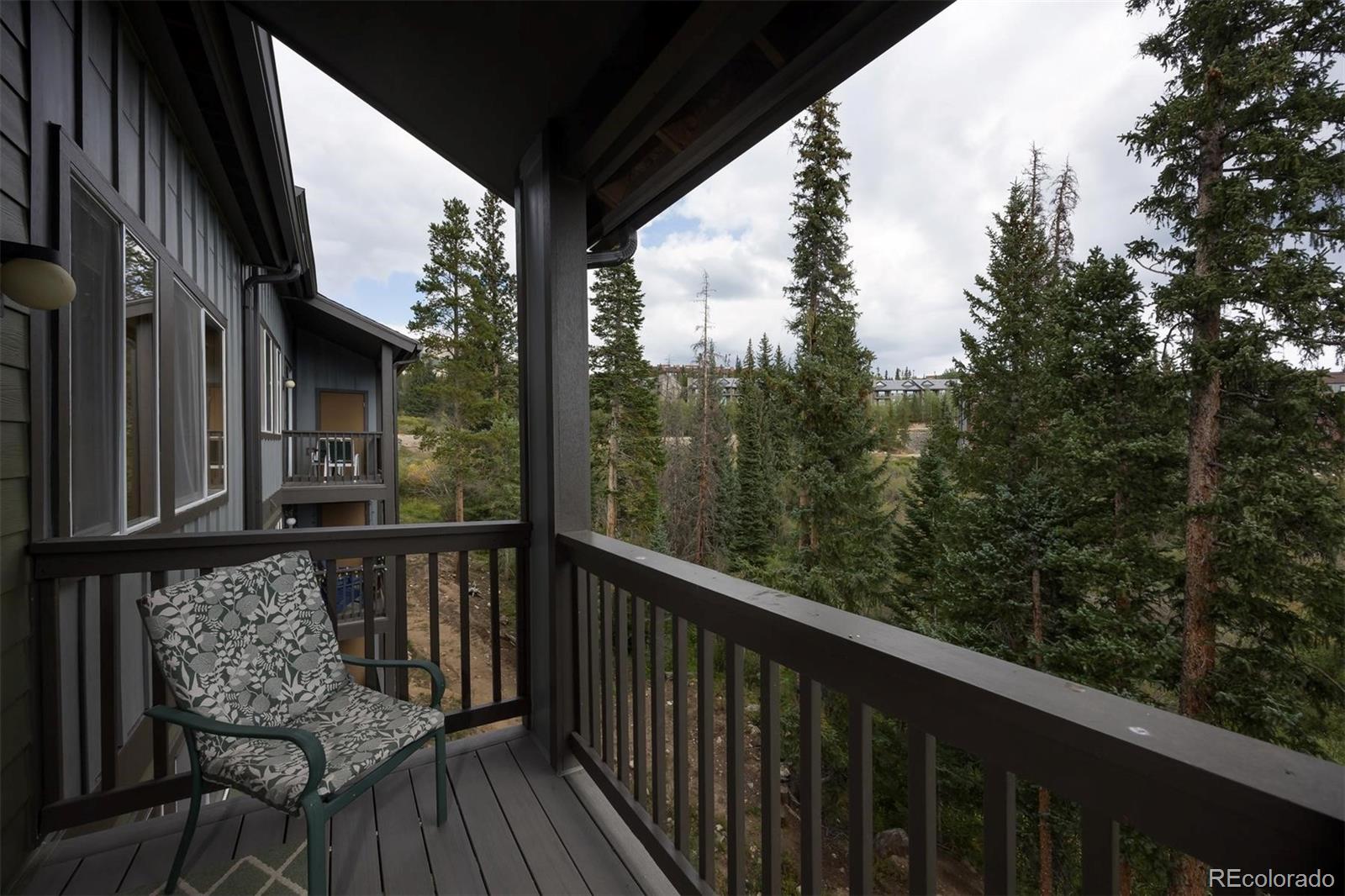 MLS Image #18 for 10000  ryan gulch road,silverthorne, Colorado