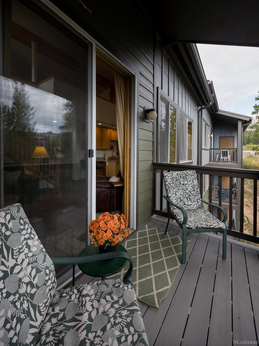 MLS Image #19 for 10000  ryan gulch road,silverthorne, Colorado