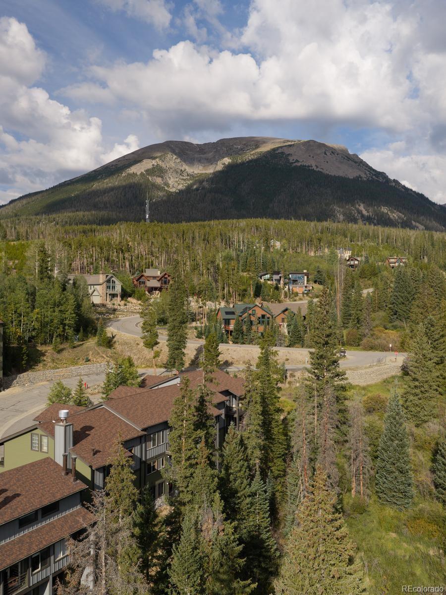 MLS Image #2 for 10000  ryan gulch road,silverthorne, Colorado