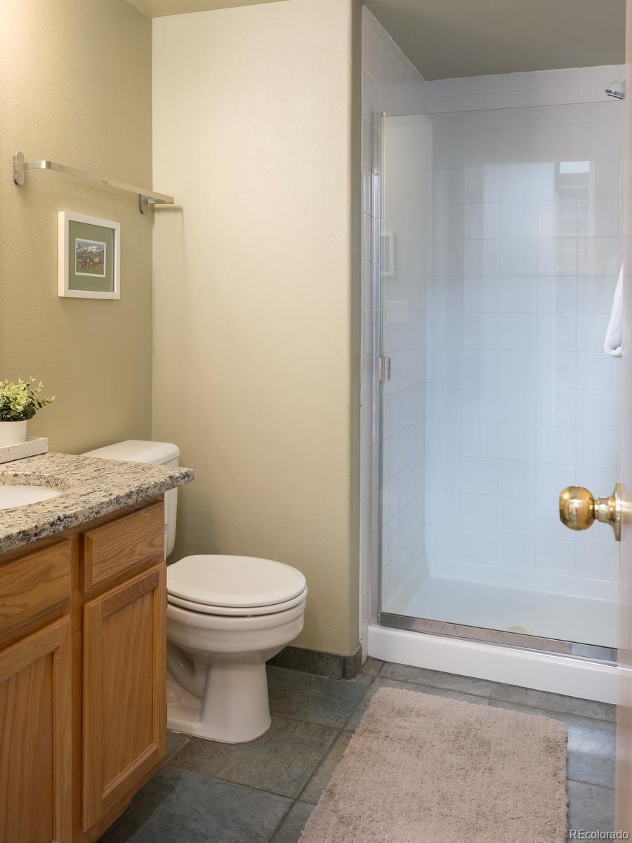 MLS Image #20 for 10000  ryan gulch road,silverthorne, Colorado
