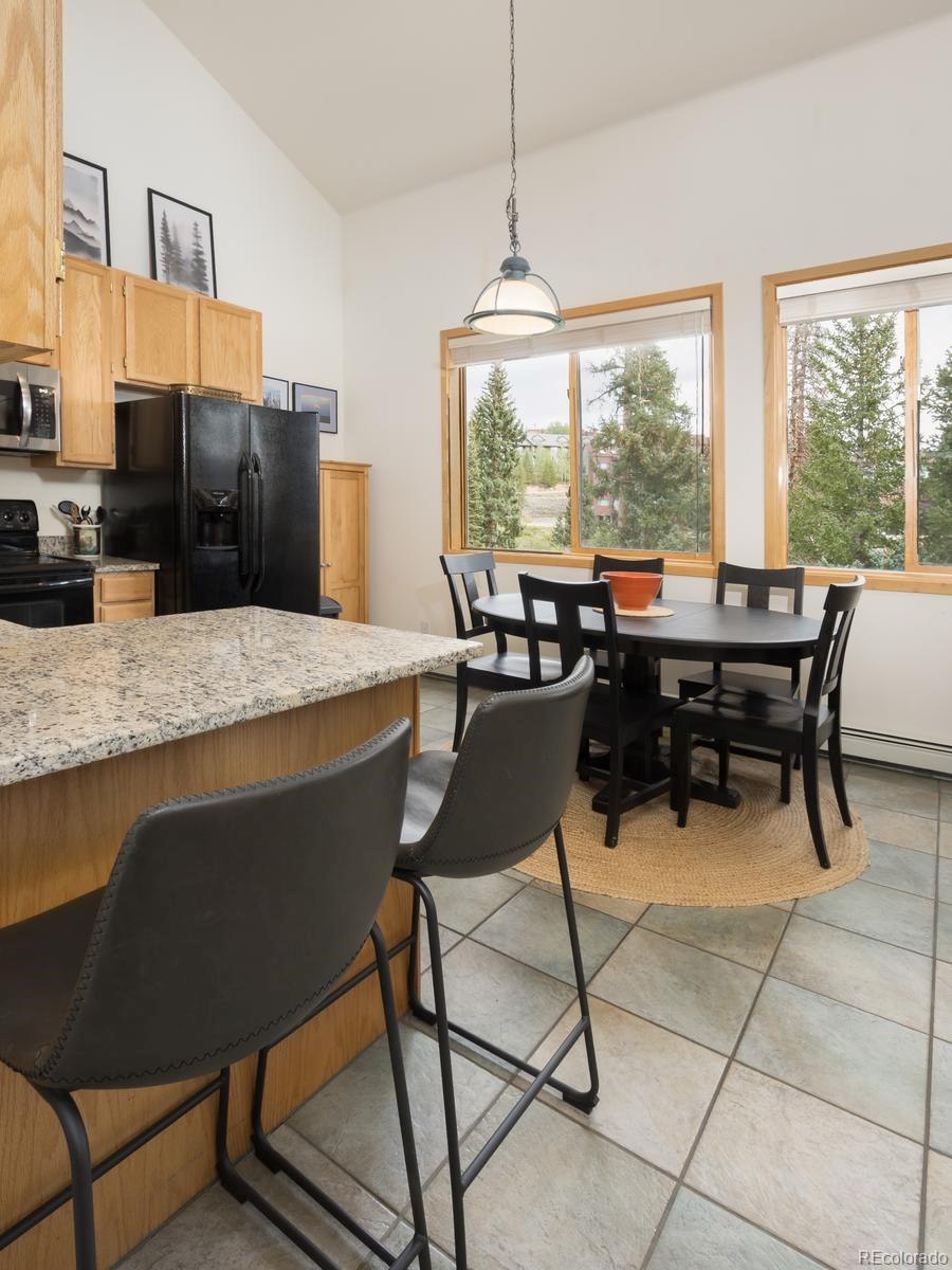 MLS Image #21 for 10000  ryan gulch road,silverthorne, Colorado