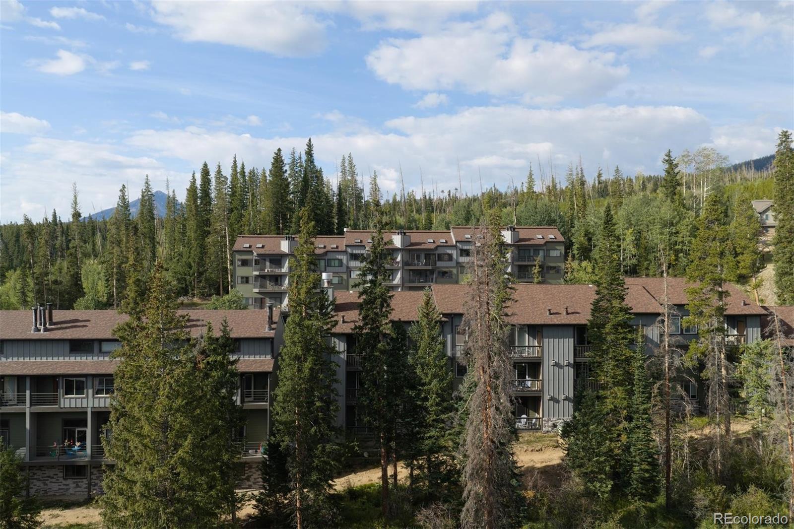 MLS Image #3 for 10000  ryan gulch road,silverthorne, Colorado