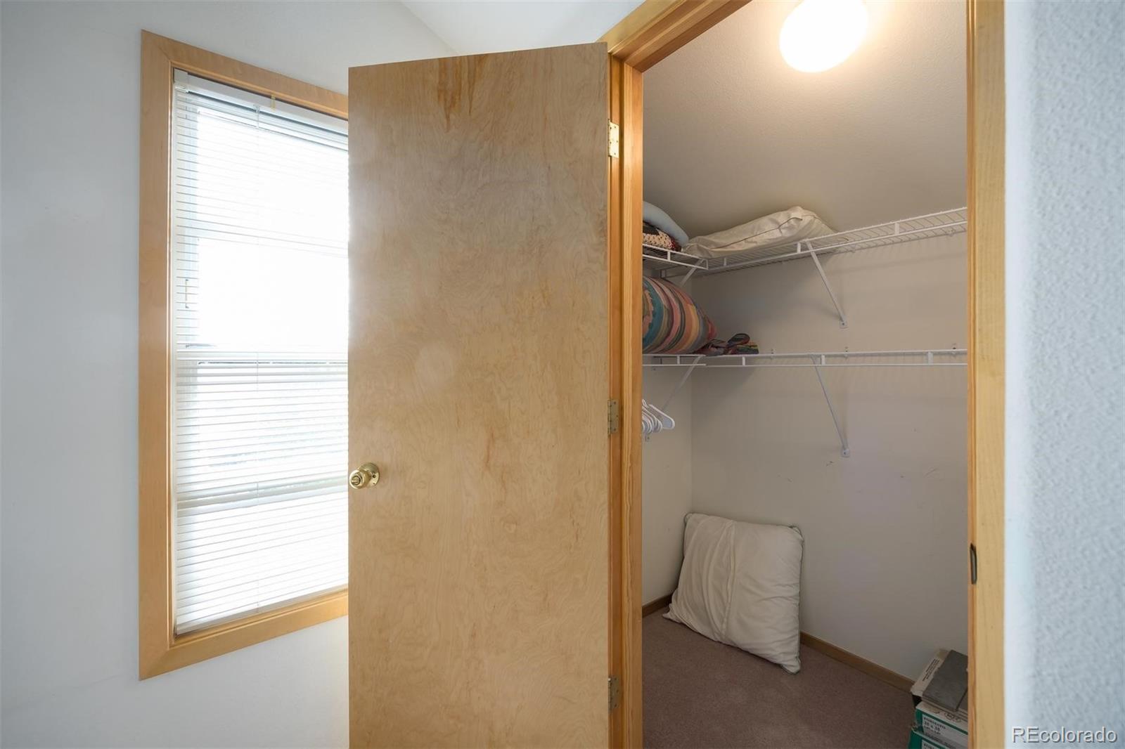 MLS Image #33 for 10000  ryan gulch road,silverthorne, Colorado