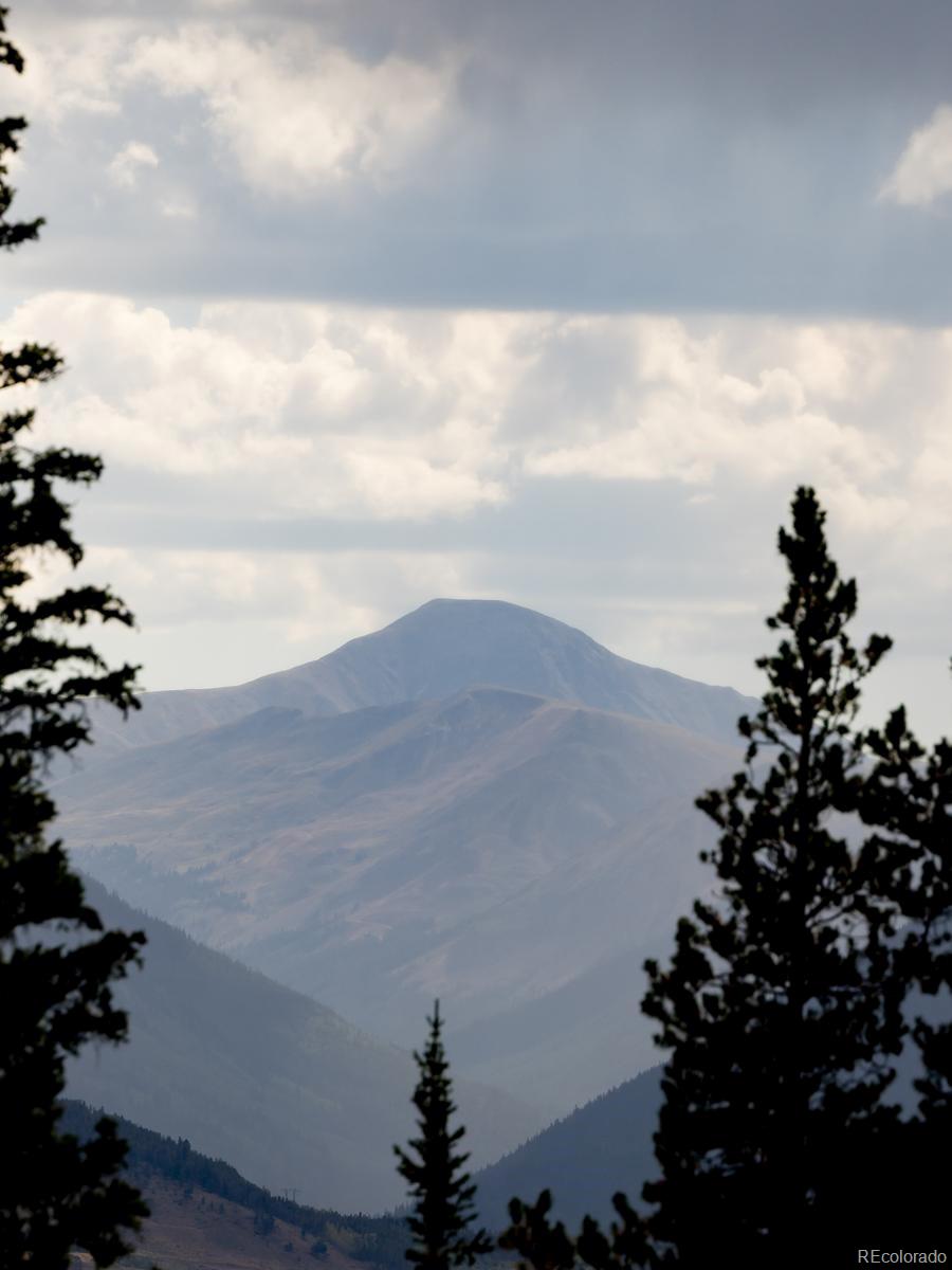 MLS Image #42 for 10000  ryan gulch road,silverthorne, Colorado