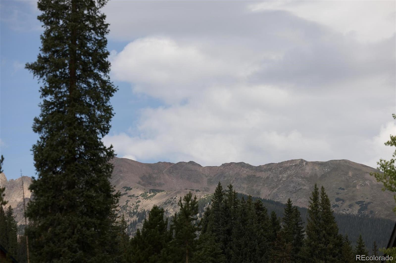 MLS Image #43 for 10000  ryan gulch road,silverthorne, Colorado