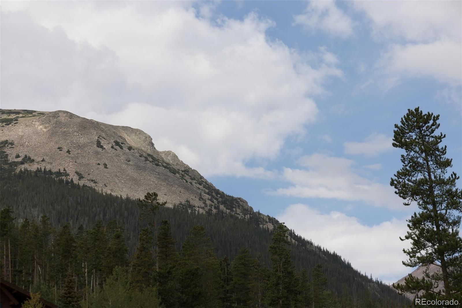 MLS Image #44 for 10000  ryan gulch road,silverthorne, Colorado