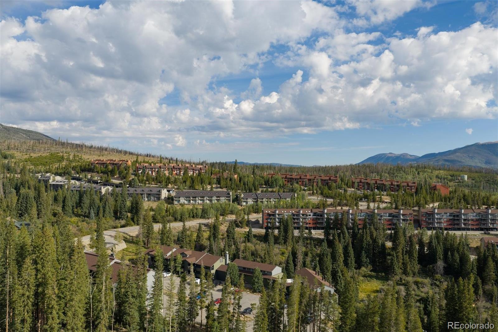 MLS Image #46 for 10000  ryan gulch road,silverthorne, Colorado