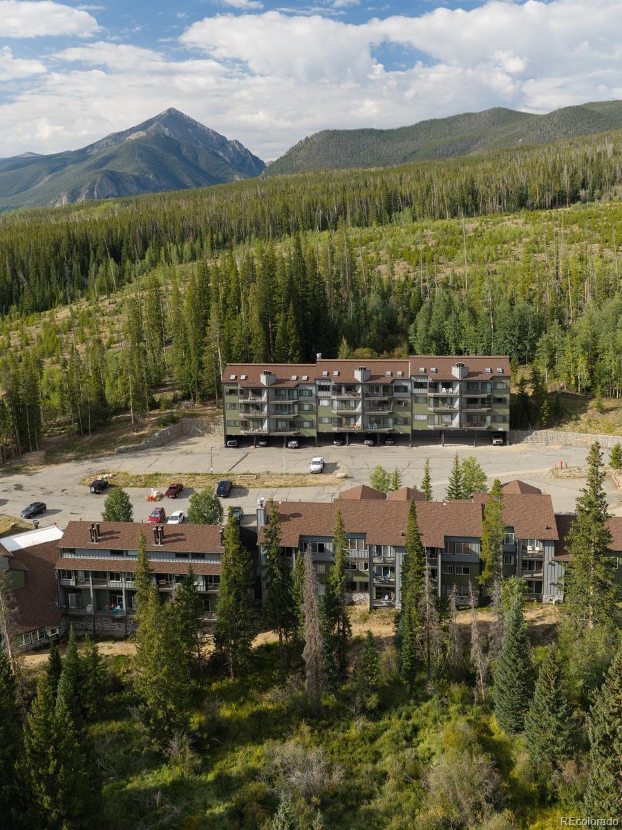 MLS Image #49 for 10000  ryan gulch road,silverthorne, Colorado