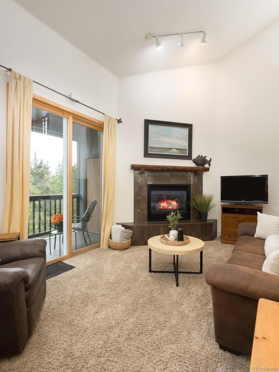 MLS Image #7 for 10000  ryan gulch road,silverthorne, Colorado