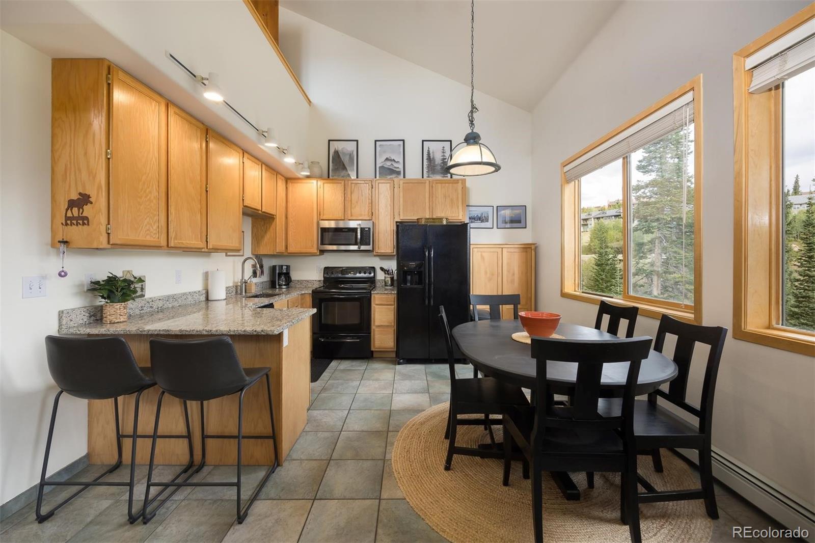 MLS Image #9 for 10000  ryan gulch road,silverthorne, Colorado