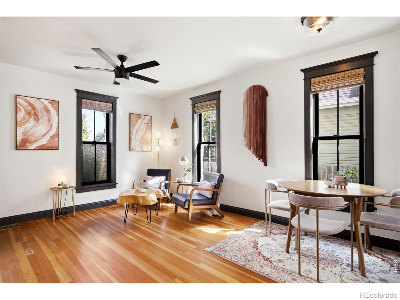 MLS Image #4 for 317 n whitcomb street,fort collins, Colorado