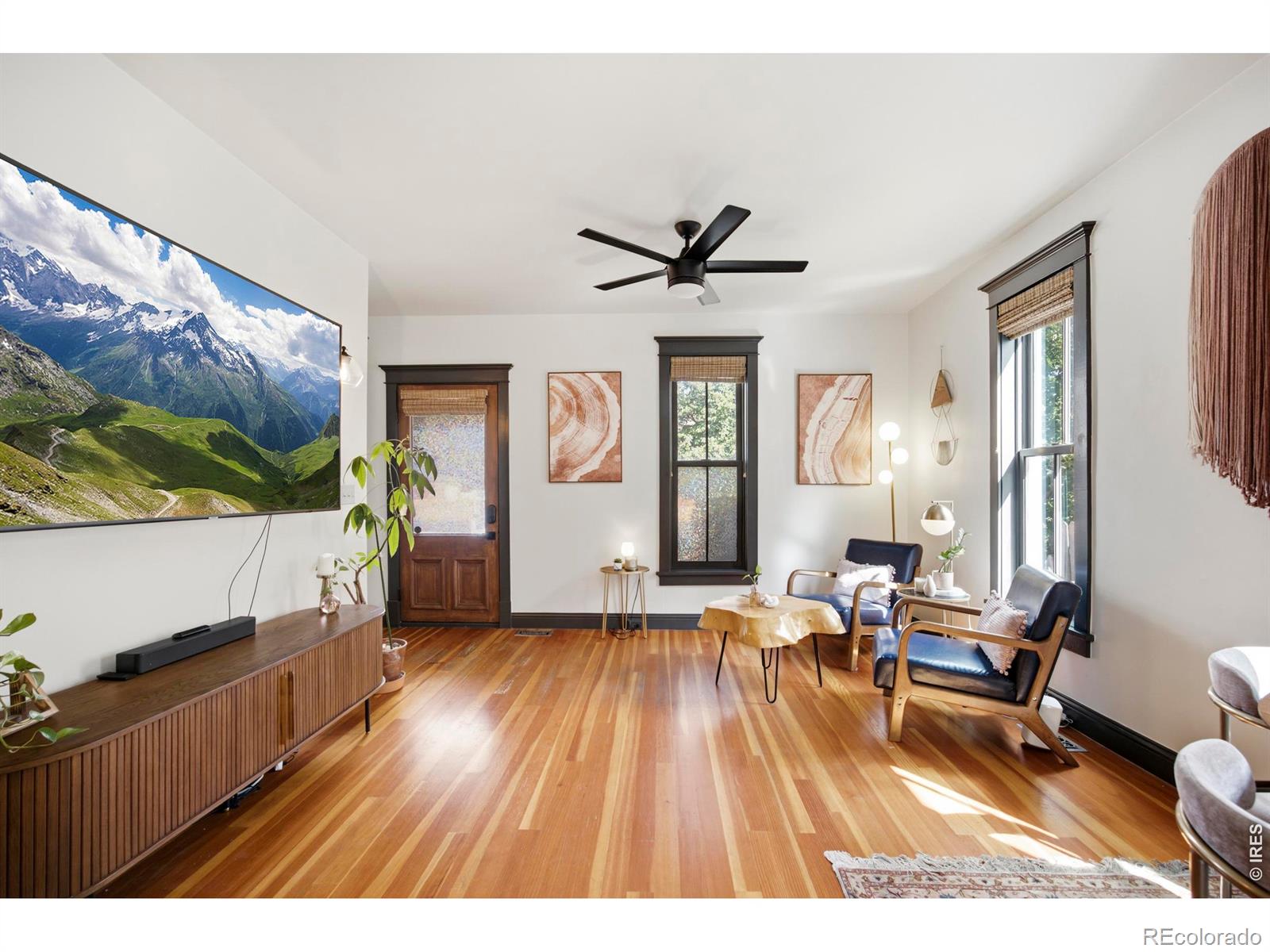 MLS Image #5 for 317 n whitcomb street,fort collins, Colorado