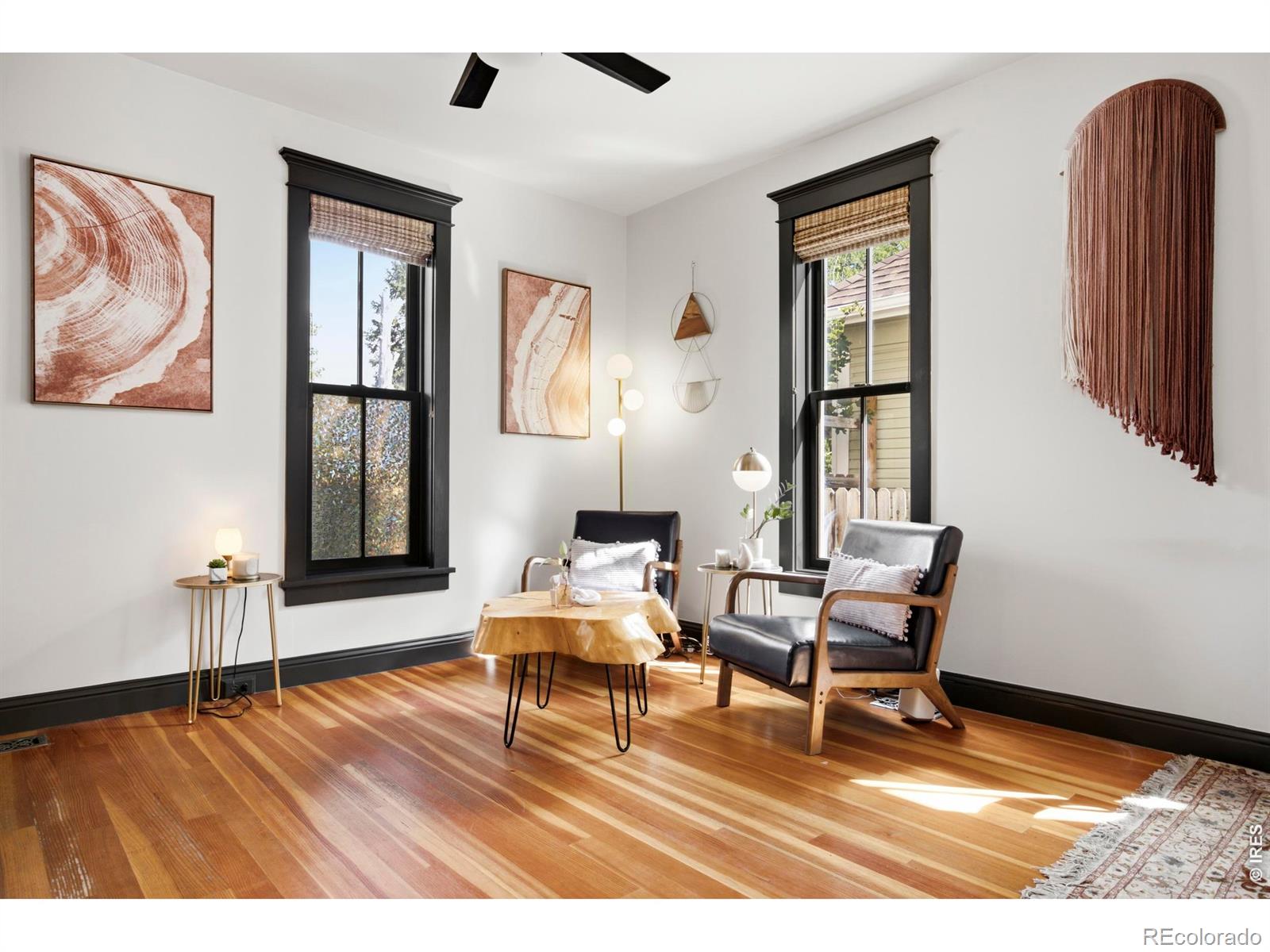MLS Image #8 for 317 n whitcomb street,fort collins, Colorado