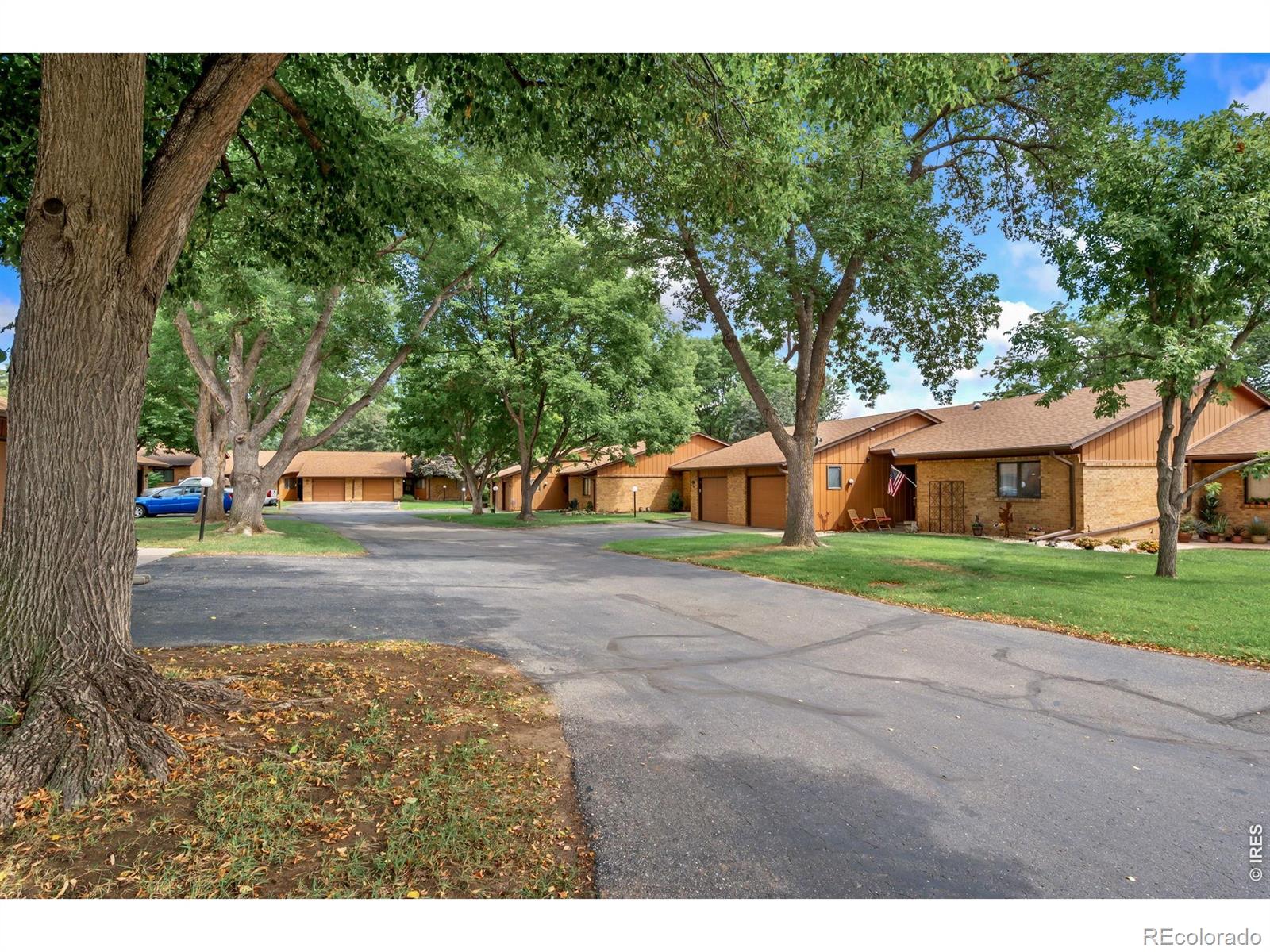 MLS Image #19 for 1100  taft avenue,loveland, Colorado