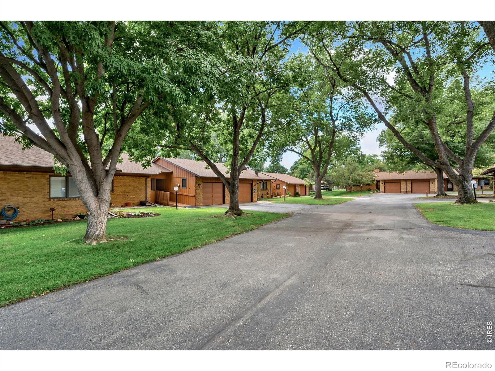 MLS Image #20 for 1100  taft avenue,loveland, Colorado