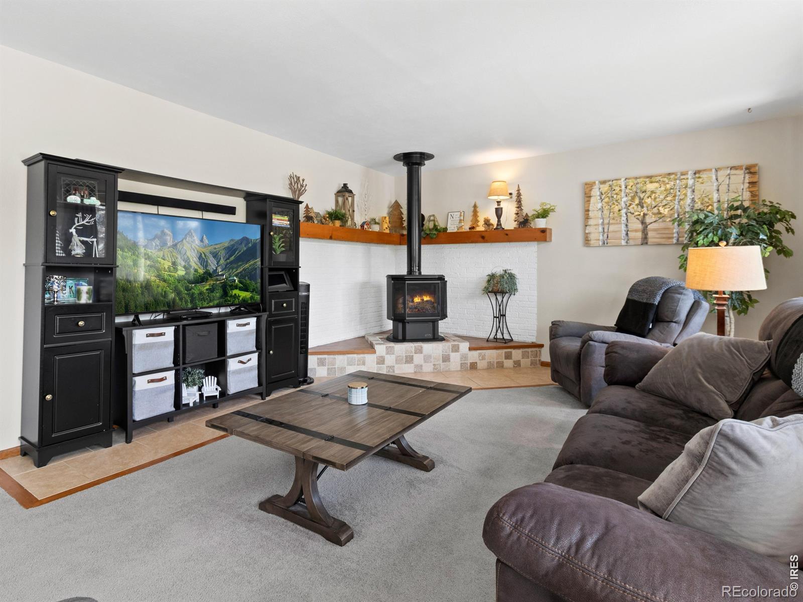 MLS Image #3 for 1047  tranquil lane,estes park, Colorado