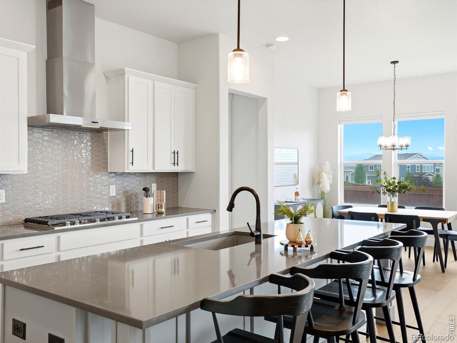 MLS Image #8 for 1746  abundance drive,windsor, Colorado