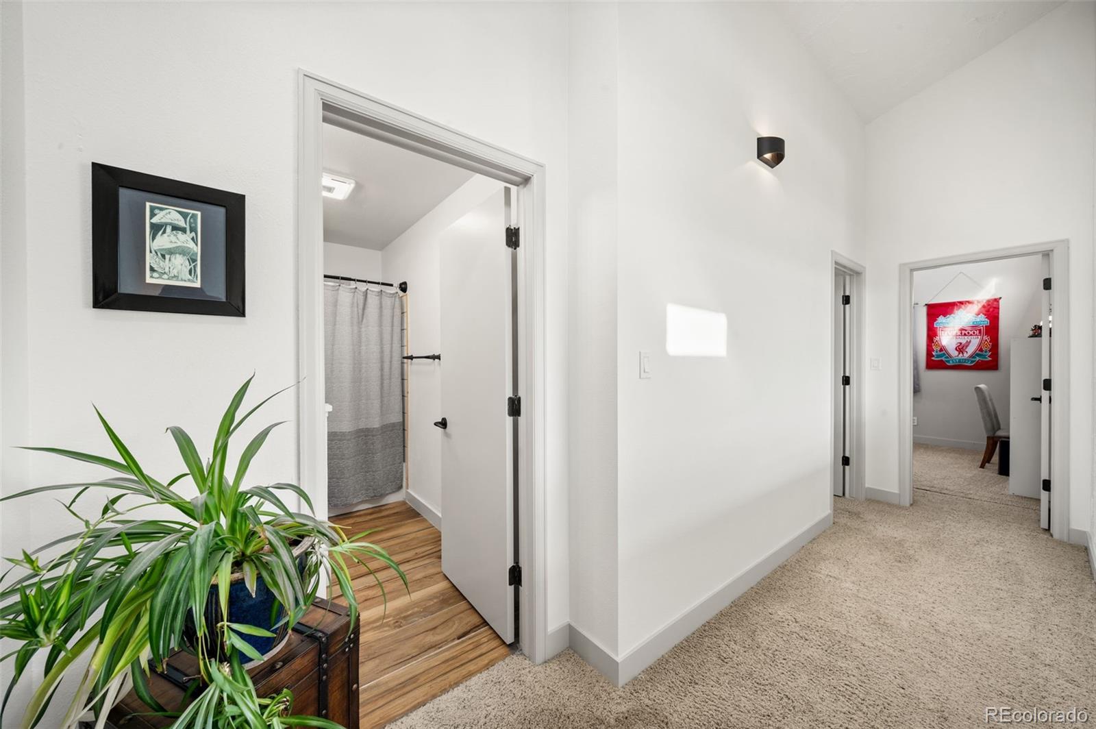 MLS Image #17 for 330 w ridge drive,woodland park, Colorado
