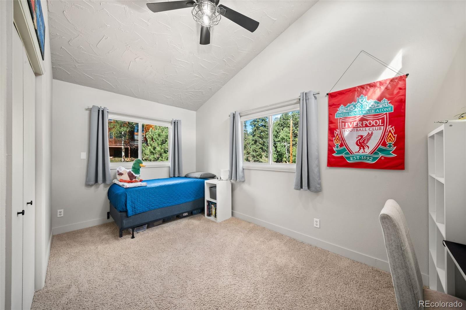 MLS Image #18 for 330 w ridge drive,woodland park, Colorado