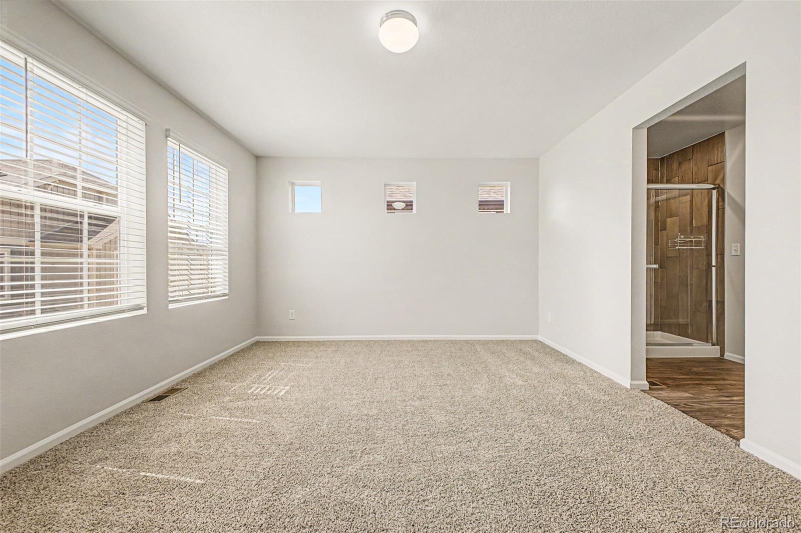 MLS Image #18 for 17975 e 103rd avenue,commerce city, Colorado