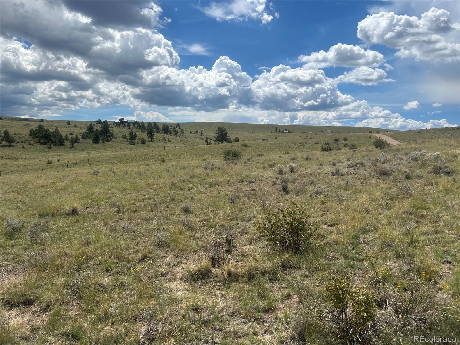 MLS Image #13 for 2347  music mountain drive,westcliffe, Colorado